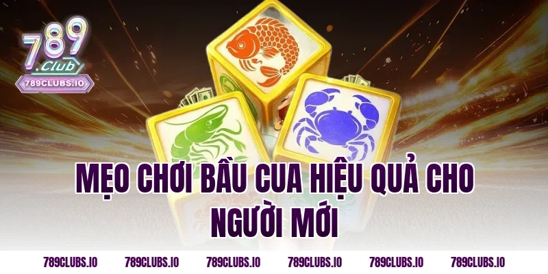 Mẹo Chơi Bầu Cua Hiệu Quả Cho Người Mới